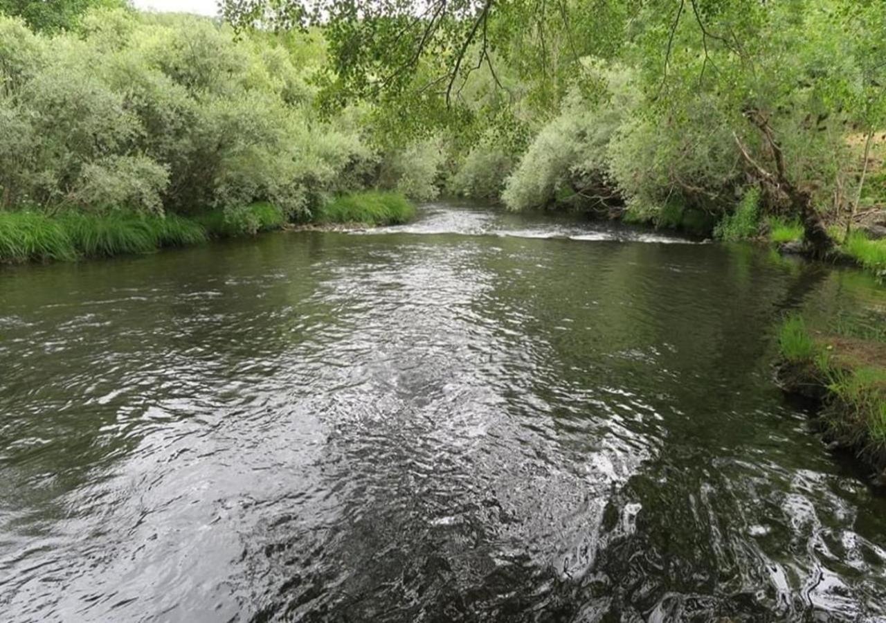Parque Biologico De Vinhais Kültér fotó