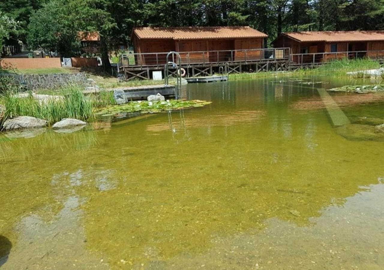 Parque Biologico De Vinhais Kültér fotó