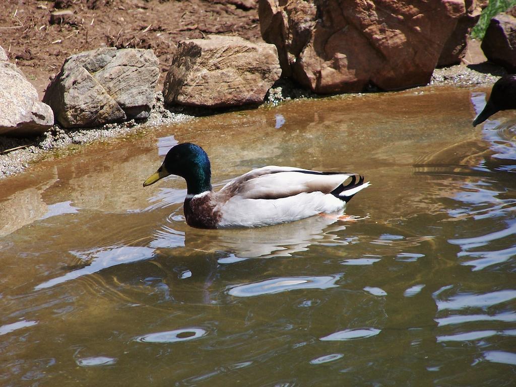 Parque Biologico De Vinhais Kültér fotó