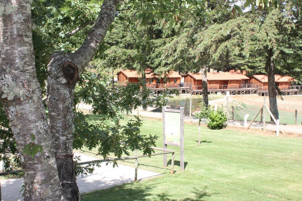 Parque Biologico De Vinhais Kültér fotó