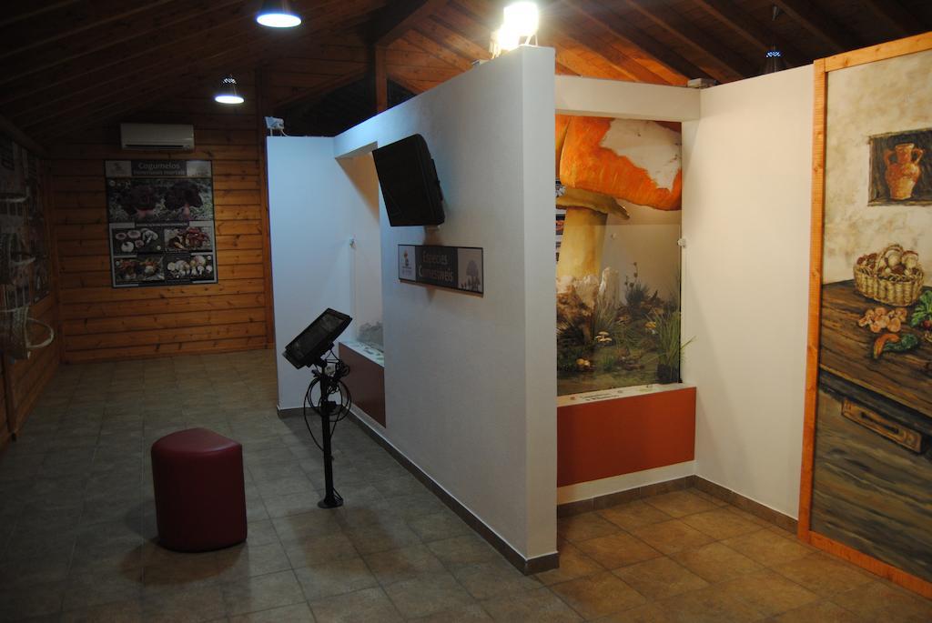Parque Biologico De Vinhais Kültér fotó